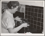 FSA (Farm Security Administration) nurse removes dental instruments from sterilizer in the FSA dental trailer at the FSA camp for farm families