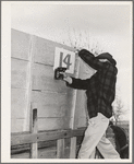 Putting number on wagon to be used in cornhusking contest. Ontario, Oregon