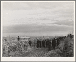 Spectators watch the contestants at cornhusking contest. Ontario, Oregon