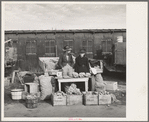 Farmers' market. Boise, Idaho