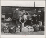 Farmers' market. Boise, Idaho