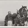 Widow who farms on Black Canyon Project. Canyon County, Idaho