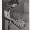 Mrs. Lee Wagoner, wife of Black Canyon Project farmer, gets homegrown potatoes from storeroom. Canyon County, Idaho