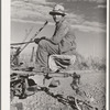 Farmer, Black Canyon Project. Canyon County, Idaho