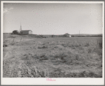 Farmstead on Black Canyon Project. Canyon County, Idaho