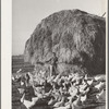 Farmer's wife feeds the chickens. Black Canyon Project, Canyon County, Idaho