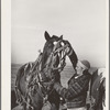 Farm woman (widow) on Black Canyon Project. Canyon County, Idaho. The FSA (Farm Security Administration) gave her a loan