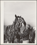 Farm woman (widow) on Black Canyon Project. Canyon County, Idaho. The FSA (Farm Security Administration) gave her a loan