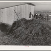 Farmyard, Black Canyon Project, Canyon County, Idaho