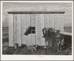 Shed and harness on farm on Black River Canyon Project, Canyon County, Idaho