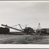 Sugar beet loader by railroad, Canyon County, Idaho