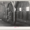 Lee Wagoner sweeps up his milking barn. Black Canyon Project, Canyon County, Idaho