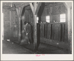 Lee Wagoner sweeps up his milking barn. Black Canyon Project, Canyon County, Idaho