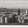 Checking in garbage cans from the FSA (Farm Security Administration) mobile camps at the permanent camp at Caldwell, Idaho, for winter storage