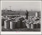 Checking in garbage cans from the FSA (Farm Security Administration) mobile camps at the permanent camp at Caldwell, Idaho, for winter storage