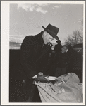 Examining corn picked during cornhusking contest. Ontario, Oregon