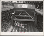 Salinas, California. Intercontinental Rubber Producers. Guayule planter. Seeds mixed with sawdust are planted by this machine which also distributes a thin stream of sand over the seeds. This is a nursery operation. Seedlings sprout in a few days, grow in