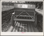 Salinas, California. Intercontinental Rubber Producers. Guayule planter. Seeds mixed with sawdust are planted by this machine which also distributes a thin stream of sand over the seeds. This is a nursery operation. Seedlings sprout in a few days, grow in