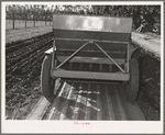 Salinas, California. Intercontinental Rubber Producers. Guayule planter. Seeds mixed with sawdust are planted by this machine which also distributes a thin stream of sand over the seeds. This is a nursery operation. Seedlings sprout in a few days, grow in