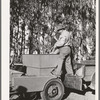 Salinas, California. Intercontinental Rubber Producers. Pouring sand into the planter used in the guayule nursery