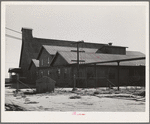 Salinas, California. Intercontinental Rubber Producers. This factory can produce 10,000 pounds of rubber from guayule daily