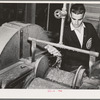 Salinas, California. Intercontinental Rubber Producers. Guayule shrubs go through a chopper in the laboratory. In commercial operations the shrub is harvested and chopped by one machine before going to the factory for rubber extraction