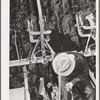 Salinas, California. Intercontinental Rubber Producers. The man on the machine is transplanting guayule seedlings into the field