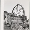 Salinas, California. Intercontinental Rubber Producers. Demonstration of combined harvester and chopper of guayule. This machine was designed and built by the company