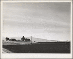 Monterey County, California. Harrowing a field in river valley land which will be planted in beans