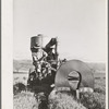 Salinas, California. Intercontinental Rubber Producers. Gathering guayule seed by means of a vacuum