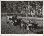 Salinas, CA. Interncontinental rubber producers. Demonstration of digger used in guayule nursery. In actual operations, the tops of the plants are cut off by the mower before they are dug. When transplanted, the guayule seedling weighs about 2 grams