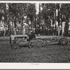Salinas, California. Intercontinental Rubber Producers. A machine which digs guayule seedlings in the nursery. After the seedlings are dug, they must be separated by hand before transplanting