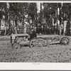 Salinas, California. Intercontinental Rubber Producers. A machine which digs guayule seedlings in the nursery. After the seedlings are dug, they must be separated by hand before transplanting
