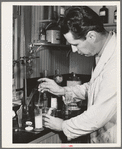 Salinas, California. Intercontinental Rubber Producers. Harry Baucher, head chemist, works on deresinating tests