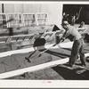 Salinas, California. Spreading guayule seed out for drying in the nursery of the Intercontinental Rubber Producers