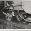 Salinas, California. Guayule seed mixed with sawdust coming from planter in nursery of the Intercontinental Rubber Producers