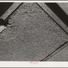 Guayule rubber "worms." Salinas, California. In the factory the guayule shrub is put through various choppers and chrushers while mixed with liquids. After being crushed and rolled it goes to settling tanks, where these worms from as the bagasse sink to