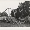 Salinas, California. Demonstration of combined guayule harvester and chopper at the Intercontinental Rubber Producers