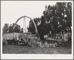 Salinas, California. Demonstration of combined guayule harvester and chopper at the Intercontinental Rubber Producers