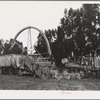 Salinas, California. Demonstration of combined guayule harvester and chopper at the Intercontinental Rubber Producers
