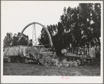 Salinas, California. Demonstration of combined guayule harvester and chopper at the Intercontinental Rubber Producers