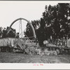 Salinas, California. Demonstration of combined guayule harvester and chopper at the Intercontinental Rubber Producers
