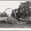 Salinas, California. Demonstration of combined guayule harvester and chopper at the Intercontinental Rubber Producers