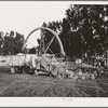 Salinas, California. Demonstration of combined guayule harvester and chopper at the Intercontinental Rubber Producers