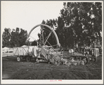 Salinas, California. Demonstration of combined guayule harvester and chopper at the Intercontinental Rubber Producers