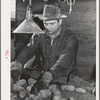 Sacker selects potatoes for size and quality at Klamath County, Oregon