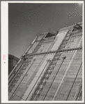 Looking up face of Shasta Dam, under construction. Shasta County, California