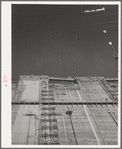 Looking up face of Shasta Dam, under construction. Shasta County, California