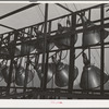 Battery of lights for night work at Shasta Dam. Shasta County, California