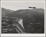 Shasta Dam under construction. The many cables are for transporting materials. Shasta County, California